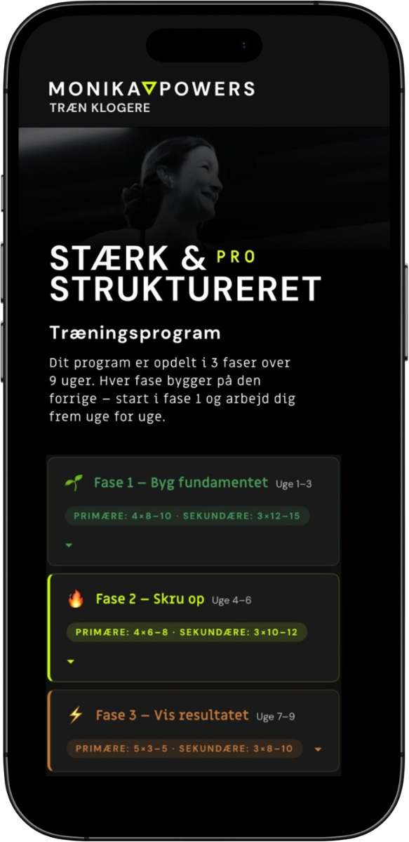 Program mockup